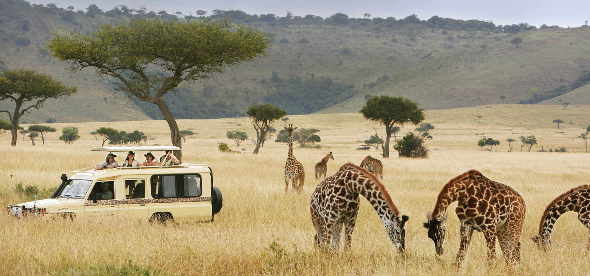 Best Time to Visit Kenya: A Complete Month-by-Month Travel Guide