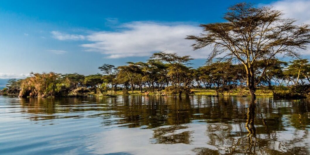 Taste of the Rift Valley: The Essential Lake Naivasha Cultural Food Experience